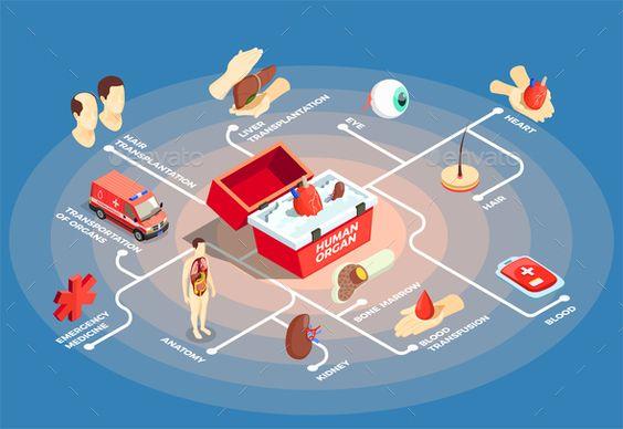 Organ transplant management system